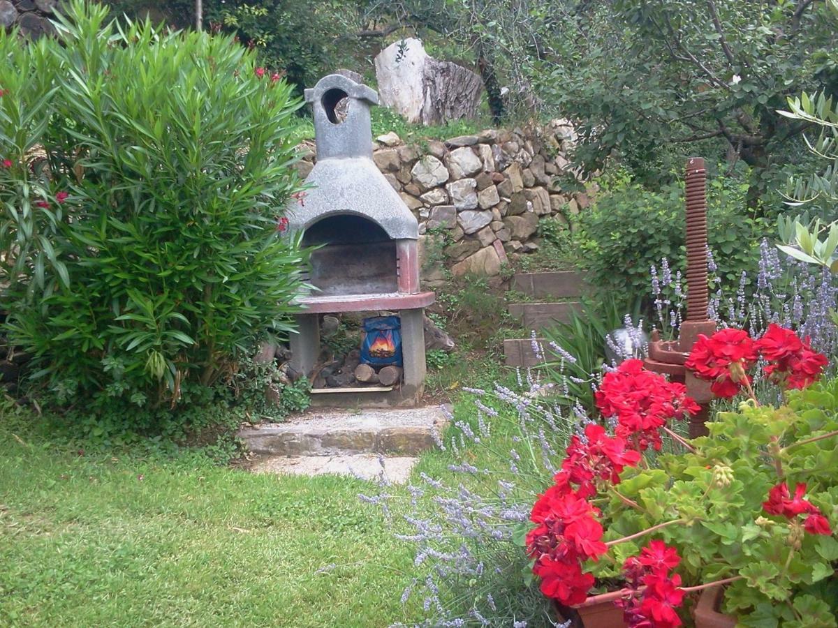 Casa Teresina Villa Collodi Exteriör bild